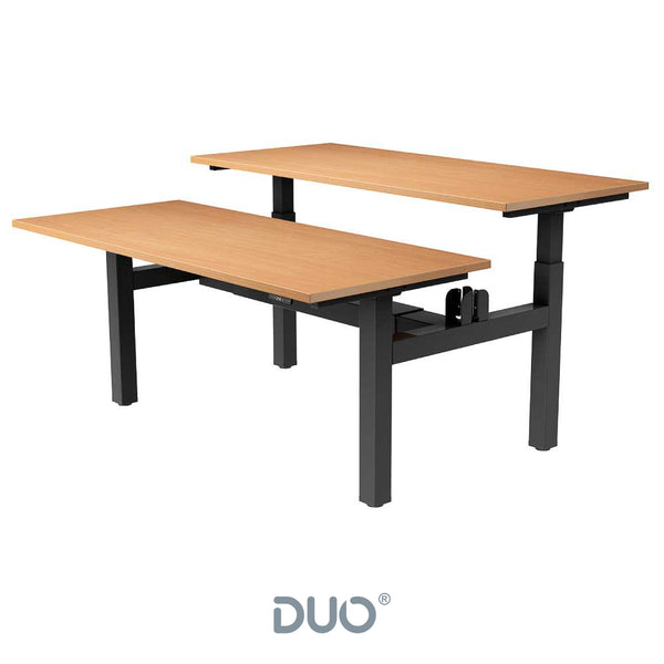 Yo-Yo DESK DUO Back-2-Back Height Adjustable Standing Desk