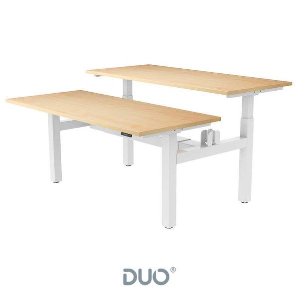 Yo-Yo DESK DUO Back-2-Back Height Adjustable Standing Desk