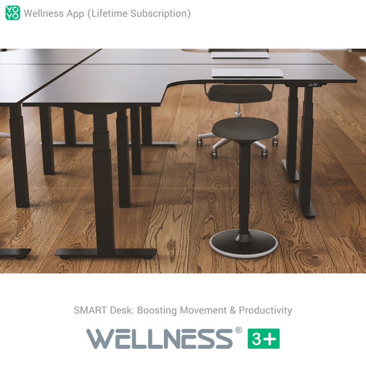 WELLNESS® 3+ (Copy)