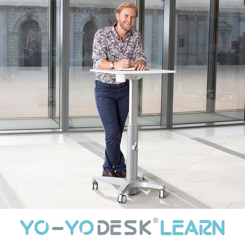 Yo-Yo DESK LEARN